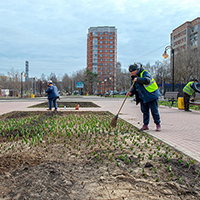 Наши рабочие проводят озеленение в городах в Московской области